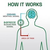 Biofreeze Spray: Professional Pain Relieving Spray,Topical Analgesic For Enhanced Relief Of Arthritis,Muscle,Joint Pain,Free Pain Reliever Cream,4 Oz. 360° Spray,Colorl