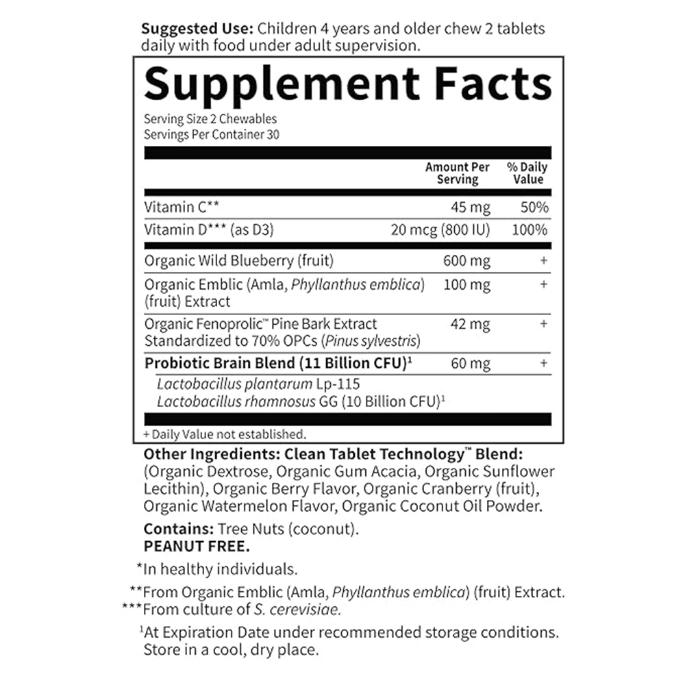 Garden of Life, Dr. Formulated Brain Health, Attention & Focus for Kids, Tasty Organic Watermelon Berry Flavor, 60 Yummy Chewables