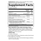 Garden of Life, Dr. Formulated Brain Health, Attention & Focus for Kids, Tasty Organic Watermelon Berry Flavor, 60 Yummy Chewables