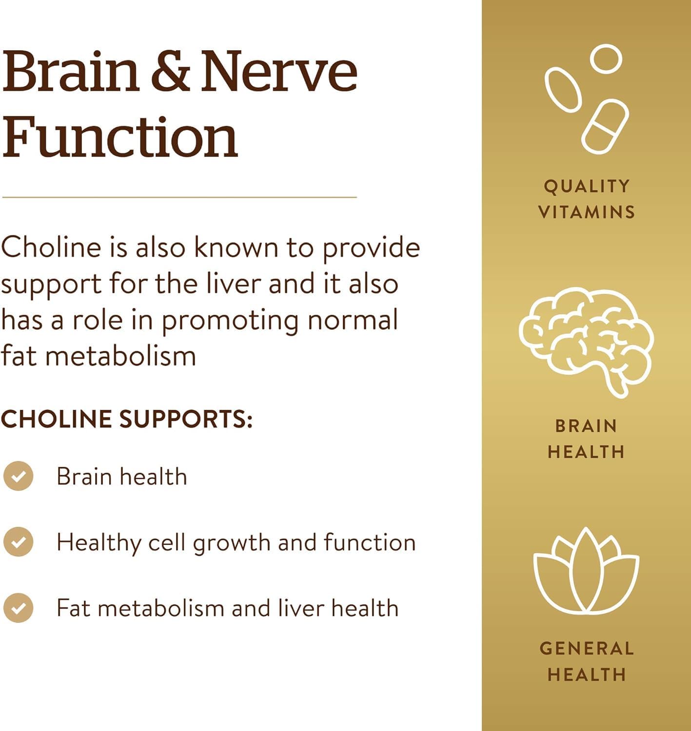 Solgar Choline 350mg, 100 Capsules