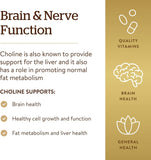 Solgar Choline 350mg, 100 Capsules