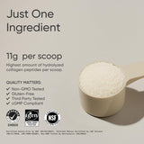 Sports Research Collagen Peptides 16oz - side panel