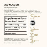 Solgar Sublingual Vitamin B12 1000mcg, 250 Nuggets