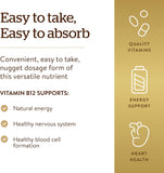 Solgar Sublingual Vitamin B12 1000mcg, 250 Nuggets