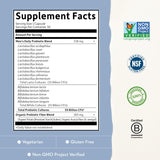 Garden of Life Dr. Formulated Probiotics Once Daily Men's, 30 Vegetarian Capsules