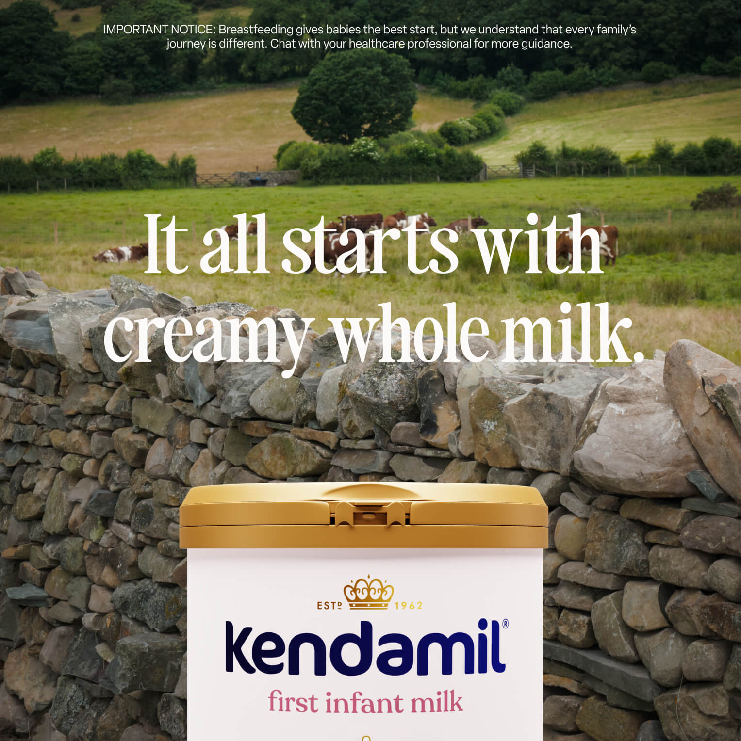 Kendamil Classic First Infant Milk Stage 1 - product detail view