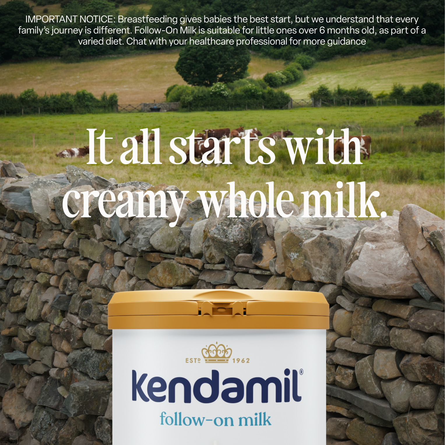 Kendamil Classic Follow-On Milk Stage 2 - product detail view