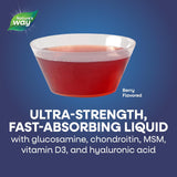 Natures Way Wellesse Joint Movement Glucosamine, Berry, 480ml