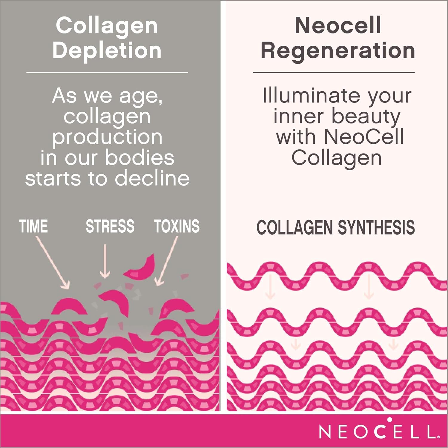 Neocell LABORATORIES FISH COLLAGEN + HA Capsule, Pack of 120 Capsule