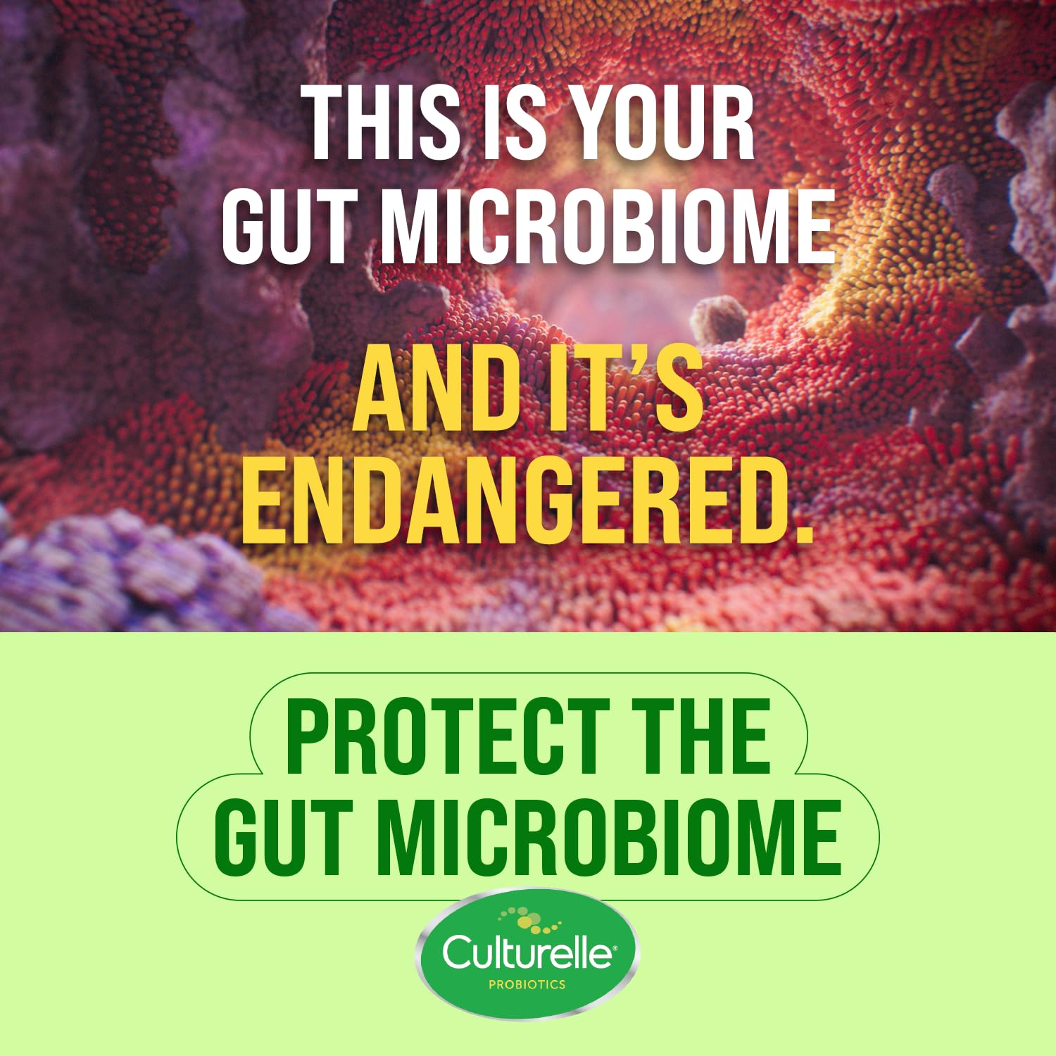 culturelle probiotics blue 30 vegetarian capsules