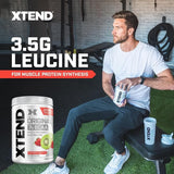 Scivation Xtend Bcaas Powder(Pre-Workout, 7G Bcaas, 0G Carbs,Sugar & Calories, 3.5 Leucine, 2.5G L-Glutamine, 1G Citrulline Malate) - 420 G, 30 Servings (Strawberry Kiwi)