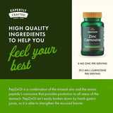 Swanson Ultra Zinc Carnosine (Pepzin Gi) 60 Capsules