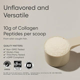 Sports Research Marine Collagen Peptides Powder|Pescatarian Friendly, Keto Certified & Non-Gmo Verified - Easy To Mix In Water Or Juice! (12Oz Bottle), 1 count, 34 servings